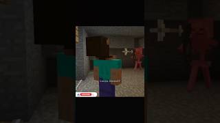 Eu e Meu Mano no Minecraft 339