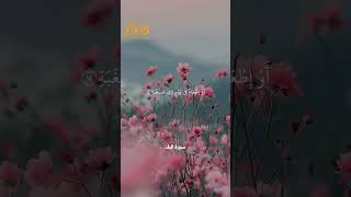 سورة البلد الآيات من 10 إلى 18 بصوت القارئ ماهر المعيقلي #حالات واتس  #quran #shorts