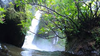 Las Cataratas del Río " Dos Novillos " - Pocora de Guápiles - Costa Rica