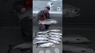 Coho Limits on Day 1 of the Derby! #shorts #alaska #salmonfishing #tournamentfishing