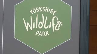 Yorkshire Wildlife Park Doncaster - Grumpy Grandads Days Out 16/4/2022..