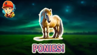 Discover the Magic of Ponies: A Fun and Educational Video for Kids!