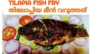 #fishfry#tilapiafry#fish#keralastyle TILAPIA FISH FRY/തിലോപ്പിയ  മീൻ പൊരിച്ചത് - SHAMS FOOD & TRAVEL