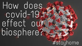 How does Covid-19 effect the biosphere?