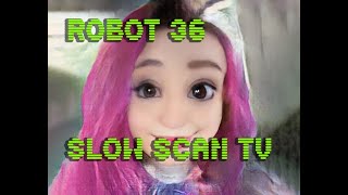 0080 Toonify SSTV Robot36