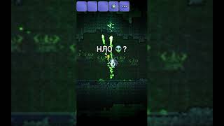 Terraria баг 1.2 #shorts #youtubeshorts #terraria #баг