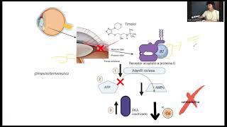 TIMOLOL mecanismo de acción #glaucomatreatment #glaucoma