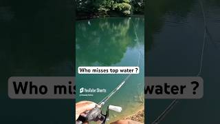 Who misses top water bites? #fishingvideo #fishing #bassfishing #shorts