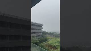 Heavy rain in Jeju island