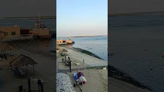 beachvibes#seafacing#view#shortvideo#flamingo#resort#umalquwain