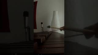 THE DAYS OF WINE AND ROSES - SOLO on MARIMBA