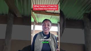 Why You should Vary The Feed Of your Animals… #semanhyiafarms #farminginafrica #farming