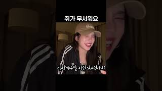 [ITZY]쥐가 무서워