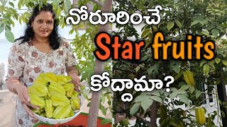 మీకు కూడా Star Fruits చూపించి నోరూరిస్తున్నాను కదా?#starfruits #harvest #radhikaorganicterracegarden