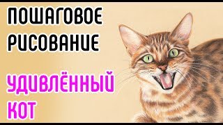 КОТ. Рисуем кота поэтапно. Пошаговое рисование животных. // How to draw Surprised cat step by step.