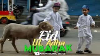 Bakra Eid Mubarak Status🌹Eid Ul Adha Mubarak Status🌿 Eid Ul Azha Mubarak Status🥀Qurwani Status 2023🌹