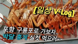 [브이로그] 박달 홍게~원없이 먹어보자 (ft:구룡포)