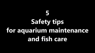 5 Must Know Safety tips for aquarium maintenance and fish care - how to safely keep a fish tank