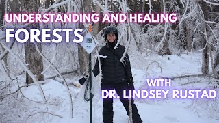 Understanding and Healing Forests with Dr. Lindsey Rustad