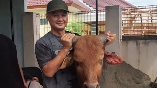 🔴QURBAN TAHUN 2022  WARGA NUSA INDAH SUBANG  ||INDAHNYA BERBAGI