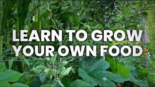 To Grow Nutritionally Dense Food is Your Birthright.