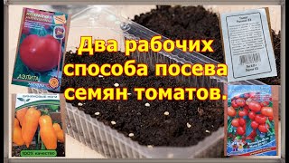 2 рабочих способа посева семян томатов