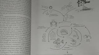 Fundamentals of Ecology by Eugene P Odum & Gary W. Barrett Part 1/2