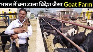 कनाडा 🇨🇦 छोरे भारत आकर बनाया अपने सपनो का बकरी फार्म Goat Farming India #goatfarming