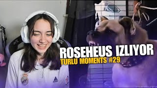 RoseHeus - DÜZENSİZ 1K FISTIK | Türlü Moments #29 İzliyor