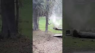 AK 308 Slow motion