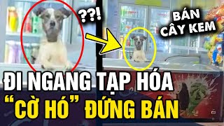 Đi ngang tiệm tạp hóa, thanh niên ĐỨNG HÌNH' khi thấy cờ hó đang 'ĐỨNG BÁN KEM' | Tin 3 Phút