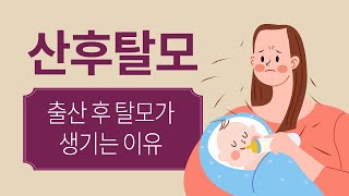 산후탈모의 원인과 발생과정 / 출산 후 탈모가 생기는 이유