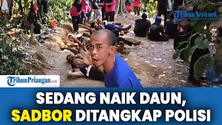 Sadbor Ditangkap Polres Sukabumi, Padahal Sedang Viral di Live Tiktok dengan Joget Ayam Patuk