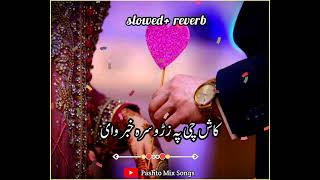 Pashto new song| Slowed reverb songs| pashto status| slow reverb songs| #short