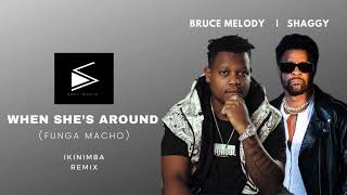 Bruce Melody, Shaggy - When she’s around (S3Ph Remix) | Funga Macho