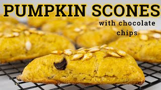 Pumpkin Scones With Canned Pumpkin and Chocolate Chips