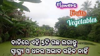 My Garden Tour/Full Garden Tour/YE PAUDHE HAR GHAR MEIN ZARUR HONE CHAHIE/ये LUCKY PLANTS होने चाहिए