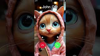 JOHN CAT 🐯 CALLING 😂 #cat