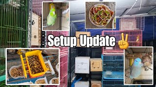 Roof Aviary Update - Cages Washed and Boxes Given to All My Birds || All About Pets