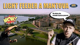 Mantova Light Feeder