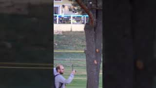 Bull Elk Chasing People in Estes Park Colorado