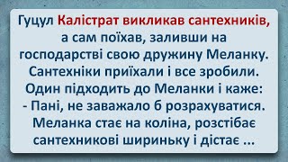 💠 Як Меланка Сантехників Розраховувала! Українські Анекдоти! Анекдоти Українською! Епізод #271