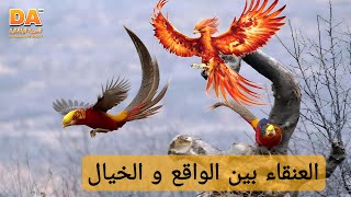 طائر الفينيق متى ينهض من الرماد | العربية الوثائقية Documentary Arabic