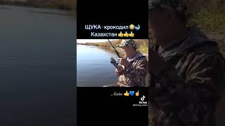 рыбалка огромная щука Казахстан