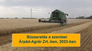 Búzaaratás a szentesi Árpád-Agrár Zrt.-ben, 2023-ban