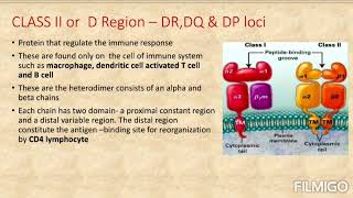 #HlA  and HlA typing #short video#subscribe for more updates #Medico#Mnemonics 😊😊