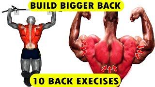 10 Best Exercises To Build A Big Back | 15 Minute Back Workout At Home (No Equipment)