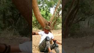 The soldier Man and Tiger VFX effect Movie #Movie #Pet #wildlife #viral #africa