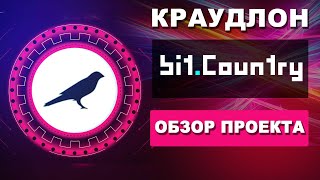 BIT COUNTRY ОБЗОР АУКЦИОН КРАУДЛОН ПАРАЧЕЙН KUSAMA | CROWDLOAN | РАЗБОР