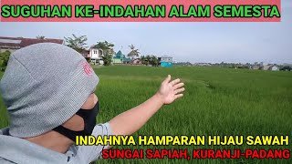 HAMPARAN SAWAH MENGHIJAU SUNGAI SAPIAH, KURANJI - PADANG